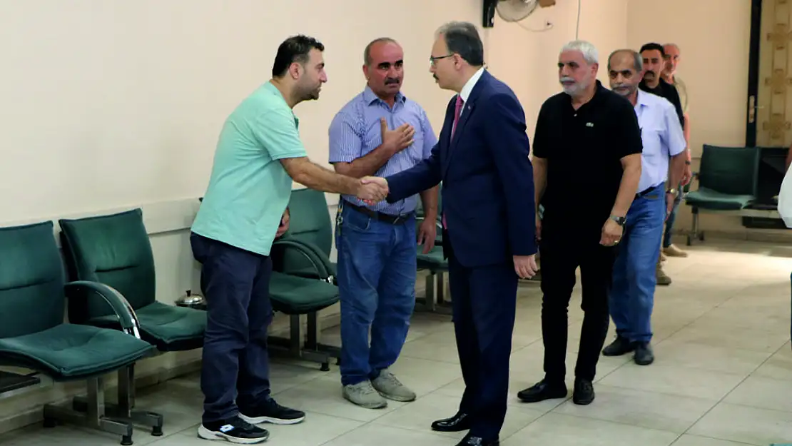 Taziye Ziyareti