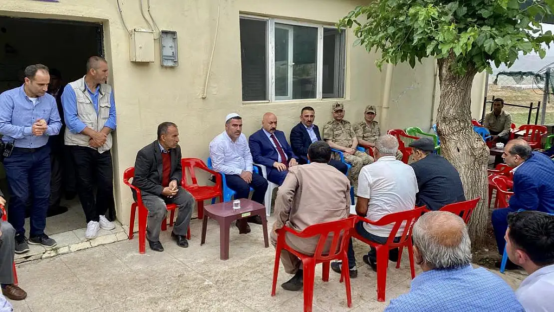 Taziye Ziyareti