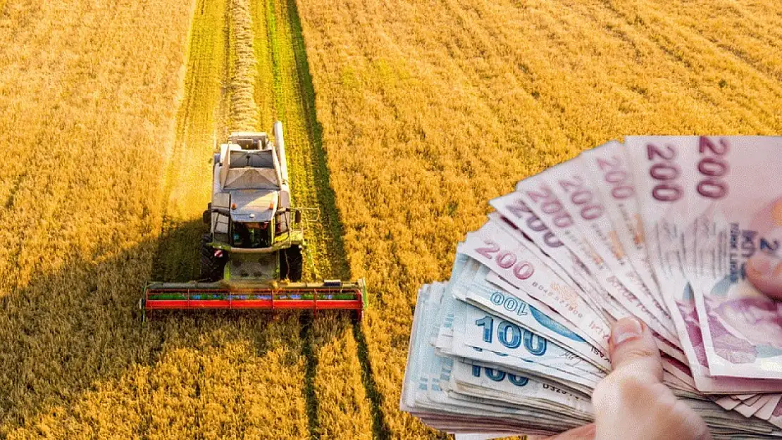 TKDK'dan Kırsal Yatırımcılara Yeni Hibe Çağrısı: 42 Milyon Avro Destek Fırsatı