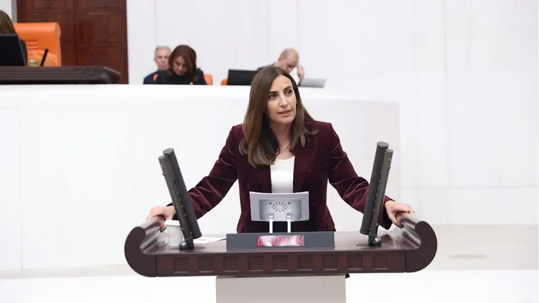 'TSK'da, Kara-Hava ve Deniz Kuvvetlerinin Bileşiminden Oluşan Bir Doğal Felaketlerle Mücadele Kuvvetleri Kurulmalı'