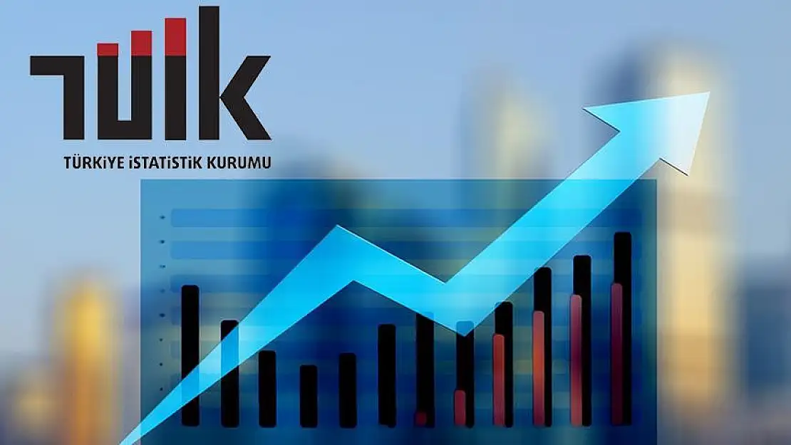 TÜİK, Siirt'te 2 Personel Alacak