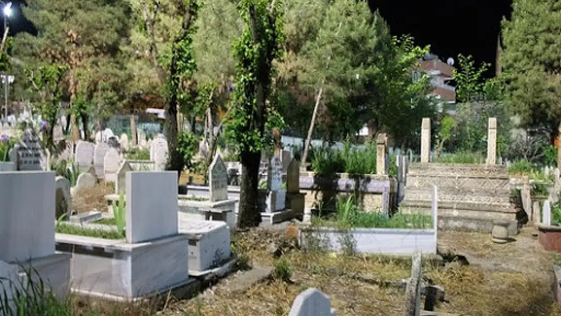 TÜİK'in Siirt İle İlgili  Doğum-Ölüm ve Hastalık İstatistiği!