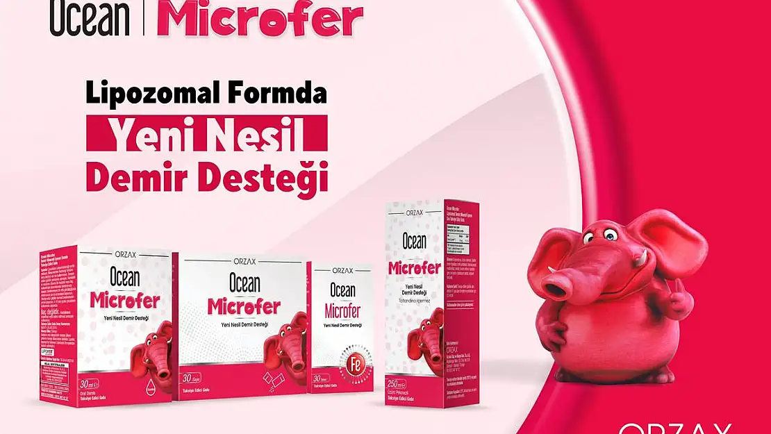 Türkiye'de Her 10 Kişiden 6'sı Günlük Yeterli Demir Miktarını Alamamaktadır