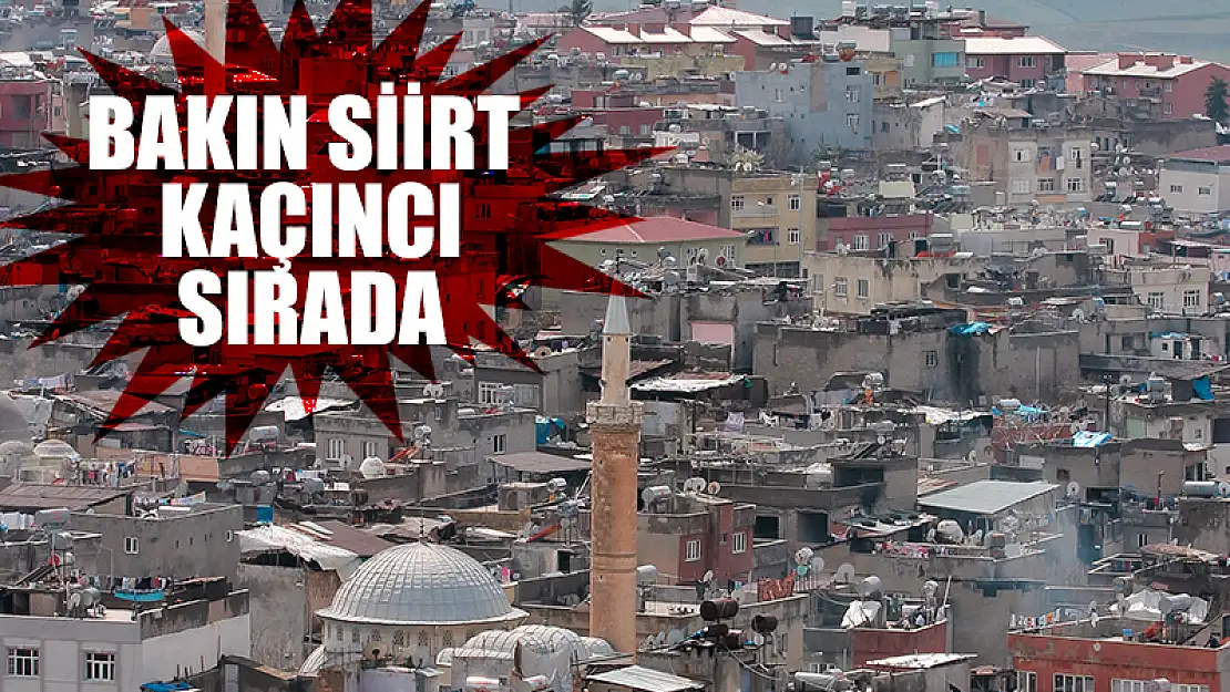 Türkiye'nin En Ucuz Şehirleri Sıralamasında Siirt'in Yeri Belli Oldu