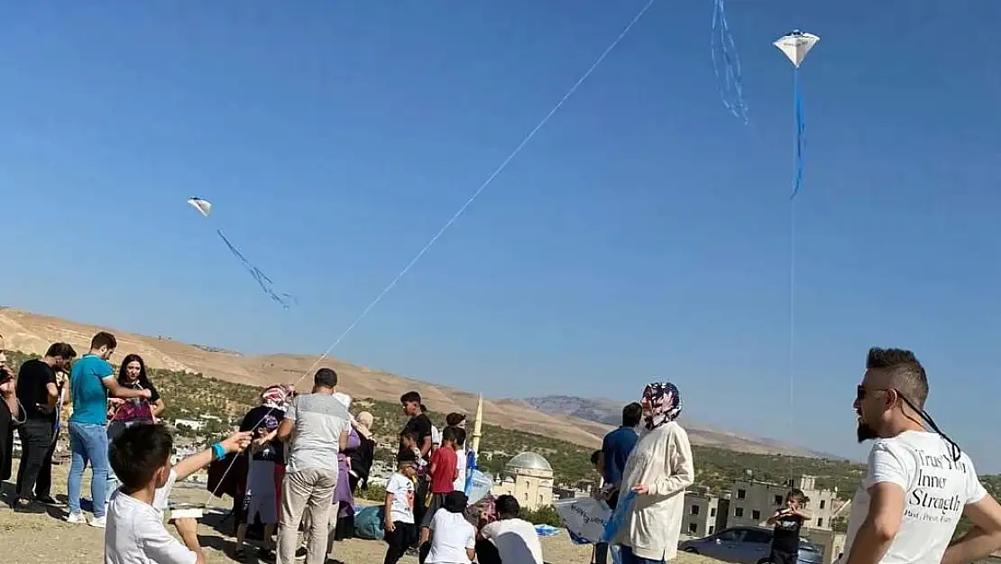 Uçurtma Şenliği
