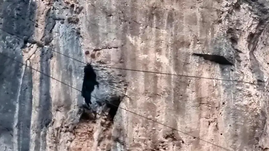 Uçurumda Asılı Kalan Keçi Kurtarıldı
