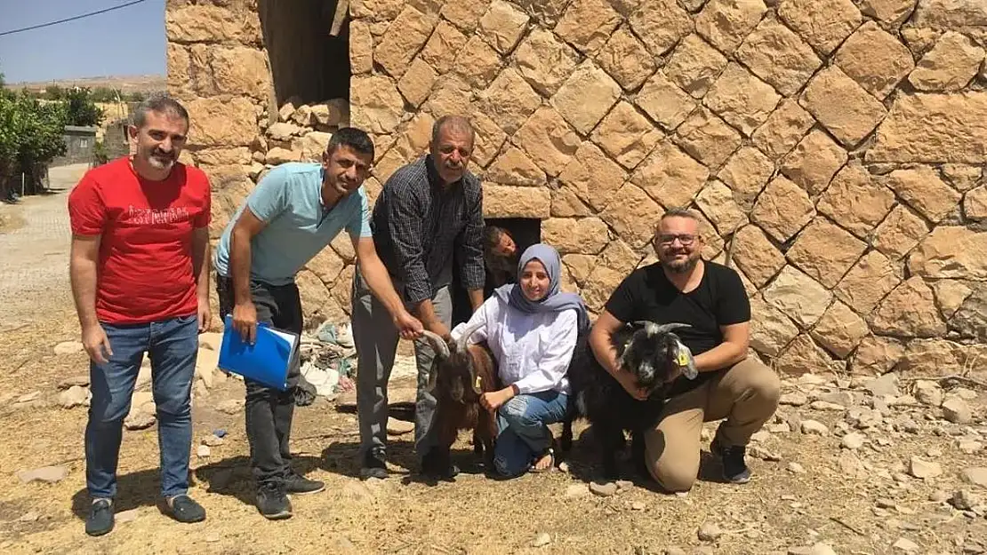 Uzman Eller Projesi Kapsamında Girişimci Kadına 63 Keçi Verildi