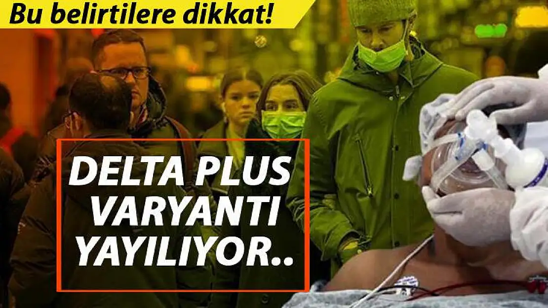 VALİ HACIBEKTAŞOĞLU AÇIKLADI SİİRT'TE VAKALARIN YÜZDE 80'İ DELTA