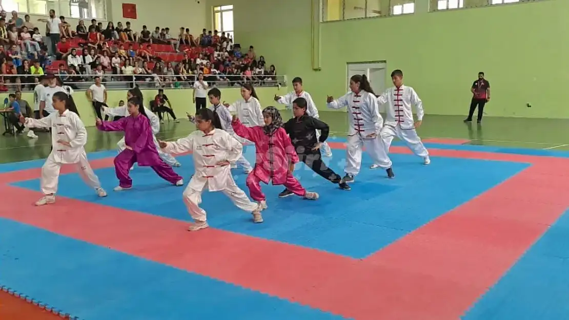 Wushu Kung Fu geleneksel Türkiye Şampiyonası Sona Erdi