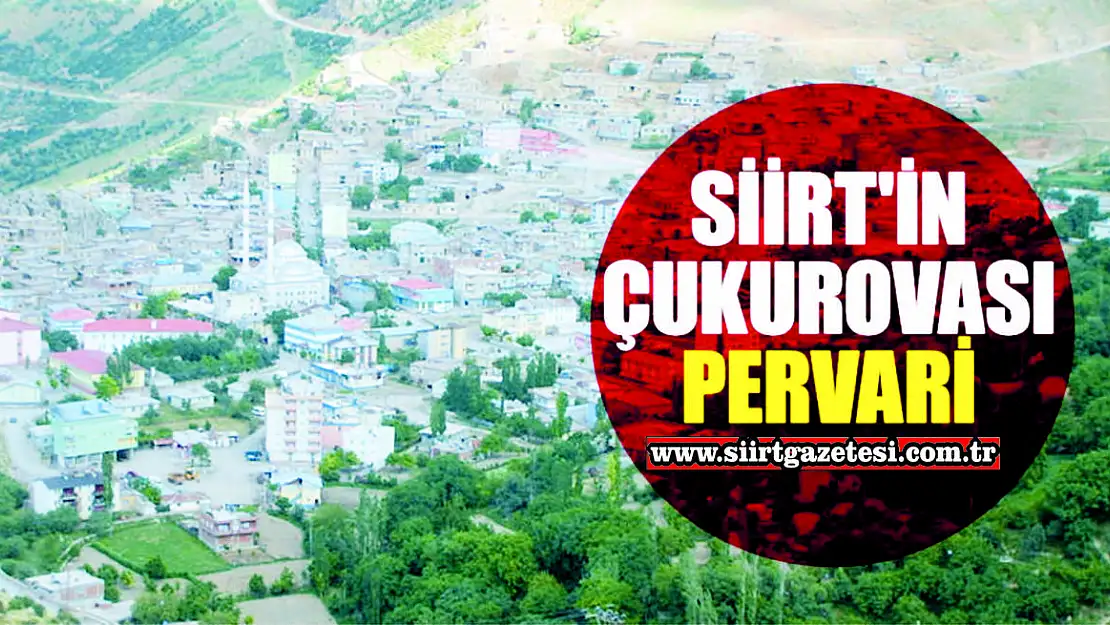 Yapay Zekanın Tespiti: Siirt'in En Güzel İlçesi Pervari