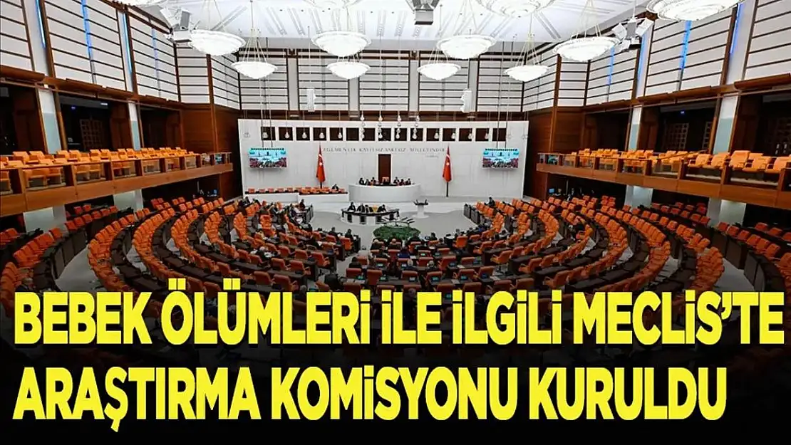 'Yenidoğan Bebekler Çetesi' İle İlgili Meclis Araştırma Komisyonu Kuruldu
