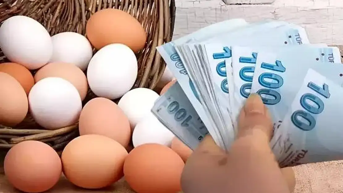 Yumurta Fiyatlarında Büyük Artış!
