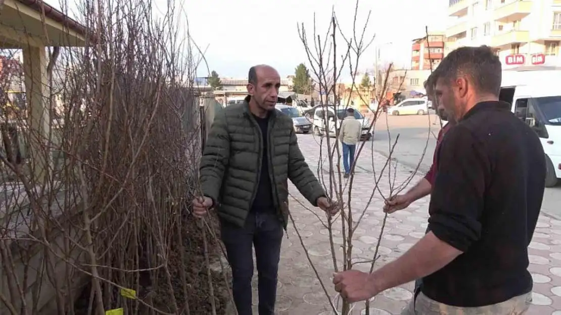 Yüzlerce Meyve Fidanı Toprakla Buluşmayı Bekliyor