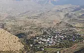 Siirt Eruh'ta Yaylada Ayı Saldırısı: Bir Kişi Yaralandı