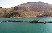 Siirt'te Avlak Sahaları İhaleye Çıkıyor!