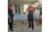 Siirt'te Bahçeye Giren Yılan Korkuttu, İtfaiye Müdahale Etti