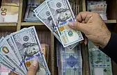 Siirt'te Döviz Kurlarında Son Durum: Dolar 39,68 TL, Euro 45,77 TL Seviyesinde