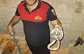 Siirt'te Evin Bahçesinde Yılan Paniği