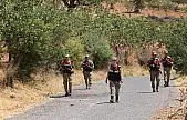 Siirt'te Fıstık Hırsızlıklarına Karşı Devriye Seferberliği