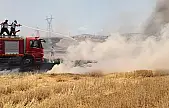 Siirt'te Yaz Uyarısı: Bu Hatalar Doğayı Kül Edebilir
