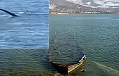 Siirtlilerin Sıkça Gittiği Tatvan'da 'Van Gölü Canavarı' İddiası Yeniden Gündemde