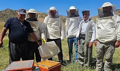 Pervari Kaymakam Gülderen Çeme Kari Yaylası'nda Arıcıları Ziyaret Etti
