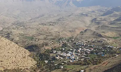 Siirt Eruh'ta Yaylada Ayı Saldırısı: Bir Kişi Yaralandı