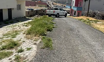 Siirt Merkez Köylerinde Haşerelere Karşı Yoğun Mücadele