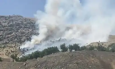 Siirt Şirvan Maden Köyü Kırsalında Örtü Yangını: Vatandaş ve İtfaiye Ekipleri Müdahale Ediyor