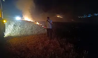 Siirt'te Anız Yangını Paniğe Neden Oldu: İtfaiye Müdürü Uyardı
