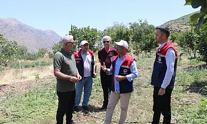 Siirt'te Çiftçilere 10 Bin Trabzon Hurması Fidanı Desteği Geliyor