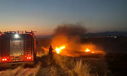 Siirt'te Çıkan Anız Yangınları Korkuttu: Yerleşim Yerlerine Sıçramadan Söndürüldü