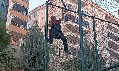 Siirt'te Çim Saha Tellerine Sıkışan Yavru Kedi İtfaiye Ekiplerince Kurtarıldı