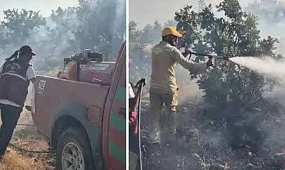 Siirt'te Eruh'un Ekmekçiler Köyünde Yangın Çıktı! Ekipler ve Köylüler Yangını Söndürmek İçin Seferber Oldu