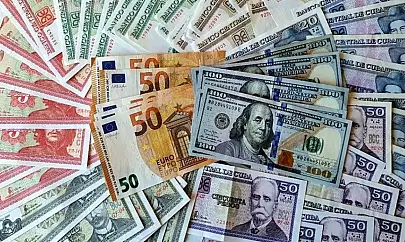 Siirt'te Güncel Döviz Kurları: Dolar ve Euro Yükselmeye Devam Ediyor