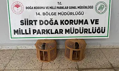 Siirt'te Yasaklı Kınalı Keklik Satışına Ağır Ceza