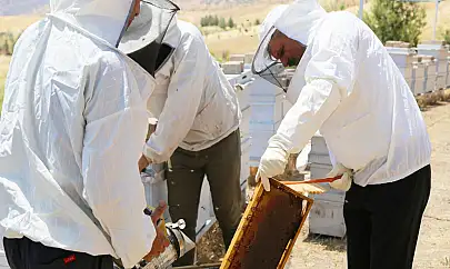 Siirt Üniversitesi'nde Bal Hasadı Gerçekleştirildi