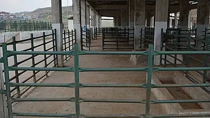 8 İlde Hayvan Pazarları Açılıyor, Siirt'te Durum Merak Ediliyor