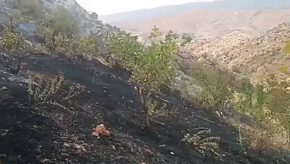 Eruh Kırsalında Orman Yangını