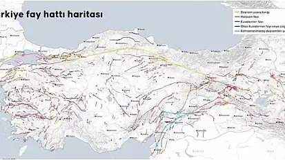 Siirt Fay Hattı Üzerinde: Deprem Riski e-Devlet'ten Sorgulanabiliyor!