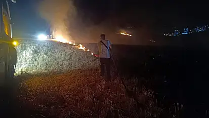 Siirt'te Anız Yangını Paniğe Neden Oldu: İtfaiye Müdürü Uyardı