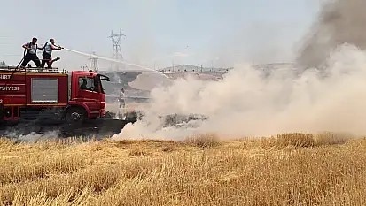 Siirt'te Yaz Uyarısı: Bu Hatalar Doğayı Kül Edebilir