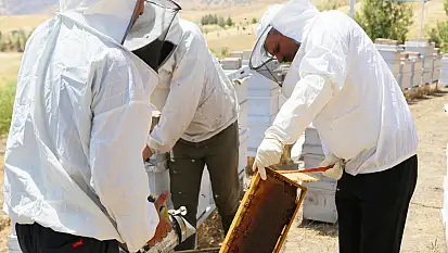 Siirt Üniversitesi'nde Bal Hasadı Gerçekleştirildi