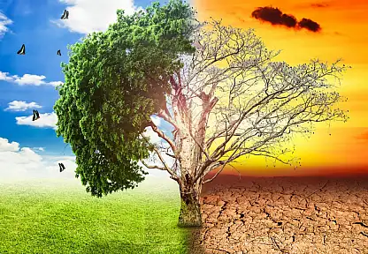 Dünya'da Yeni Mevsimler: 'Sis' ve 'Çöp' Dönemleri Başladı