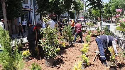 Siirt Güres Caddesi'nde Temizlik ve Peyzajla Yeni Bir Yüz