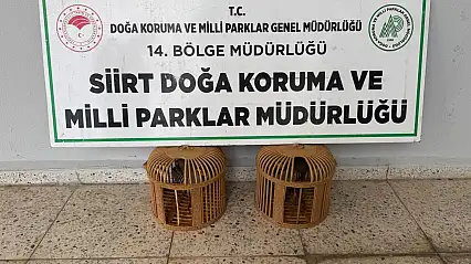 Siirt'te Yasaklı Kınalı Keklik Satışına Ağır Ceza