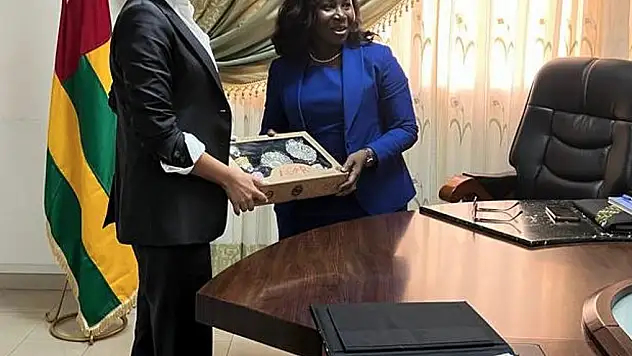 Abide Gülel Saral'a Ticari Diplomasi Ödülü