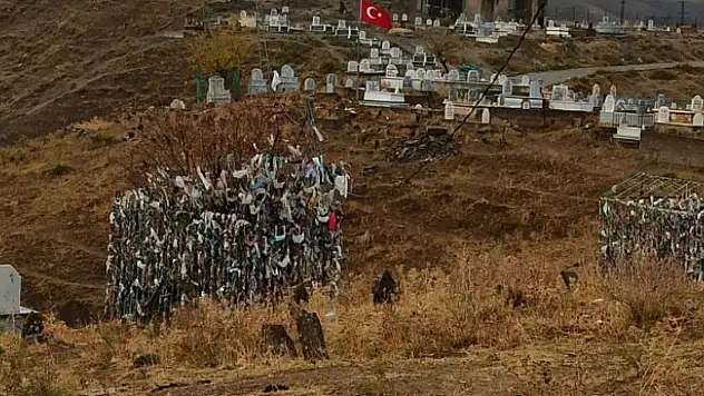 AĞACA BEZ PARÇASI BAĞLAYIP DİLEK TUTUYORLAR