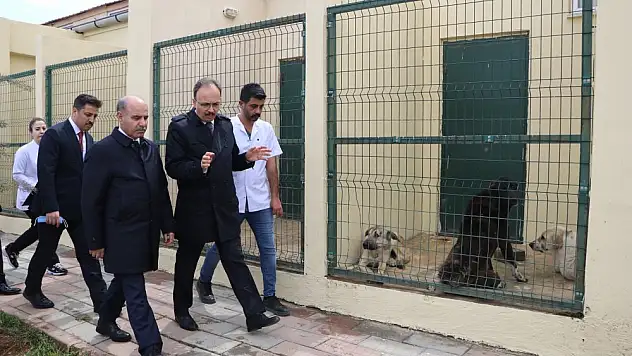 Bakan Yardımcısı Aktaş ve Vali Kızılkaya'dan Sokak Hayvanları Merkezine Ziyaret