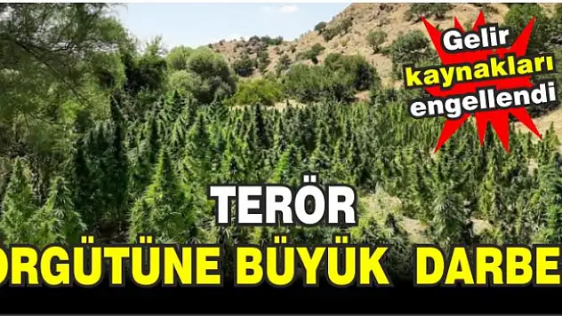 Bakan Yerlikaya: Bingöl'de 36,4 Milyar TL Yasa Dışı Gelir Engellendi